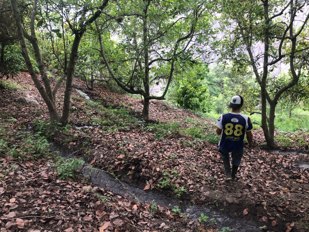 Caminata junto a la acequia en el Sendero del Agua